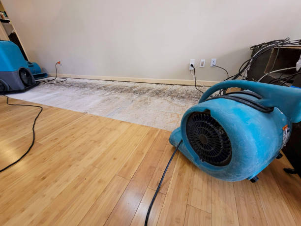 Professional Basement Flood Cleanup technician working in Essexville, MI